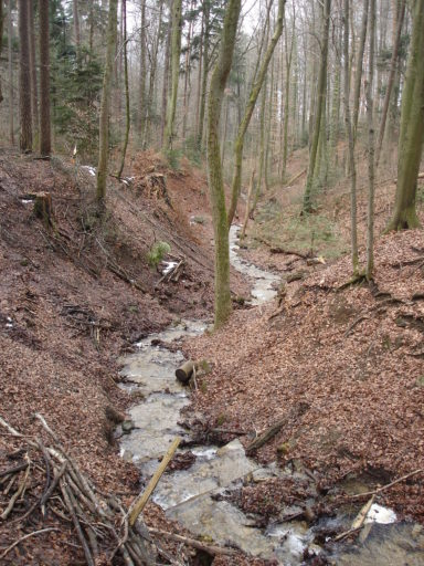 Eines der vielen Tobel