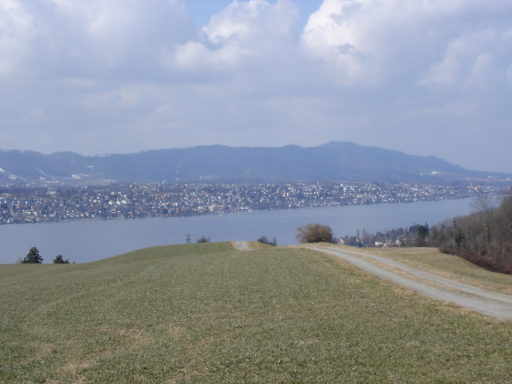 Wunderbare Sicht auf den Zürichsee