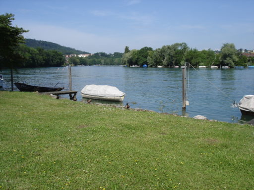 Rhein