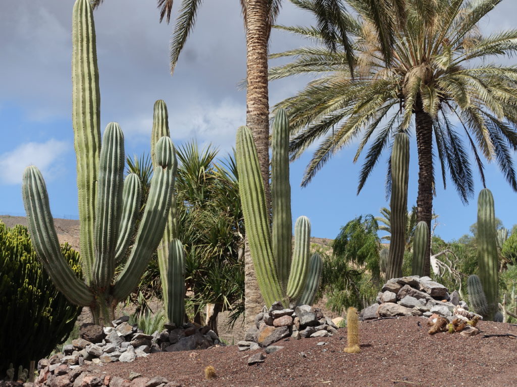 Fuerteventura