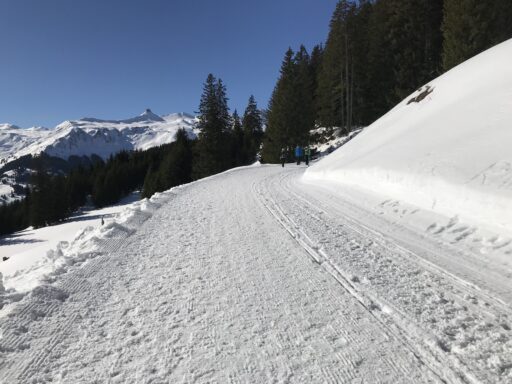 Wunderschön präparierter Wanderweg nach Panüöl