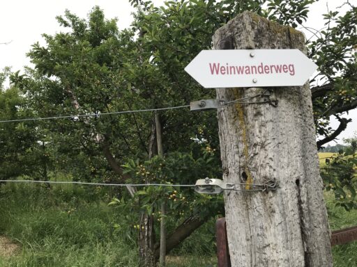 Wunderschöner Weinwanderweg