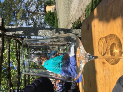 Lily im Glas | Foto Romy
