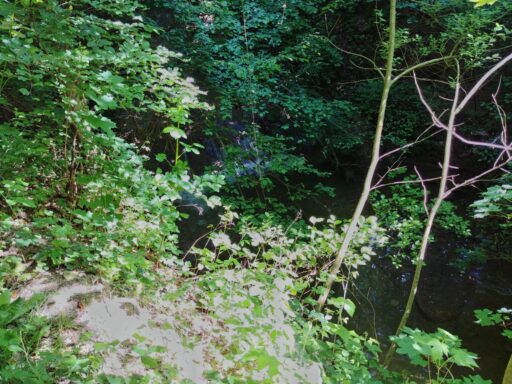 Zwischen Flaach und Berg am Irchel Foto Meinrad