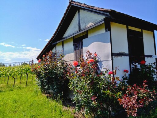 Rebhäuschen Foto Meinrad