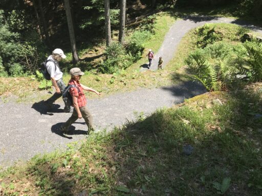 Auf angenehm kurvigem Weg hinab nach Vernayaz