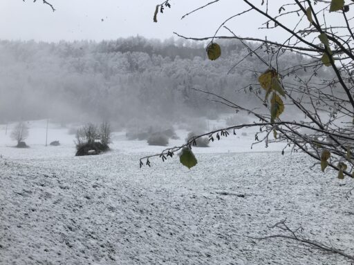 Mystische Stimmung