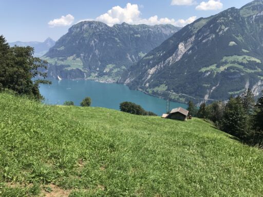 Panoramablick auf den Urnersee