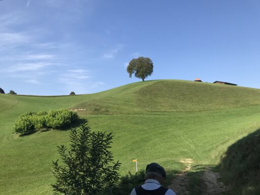 Anmutige Landschat