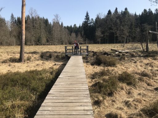 Büsselimoos, Foto: Fritz