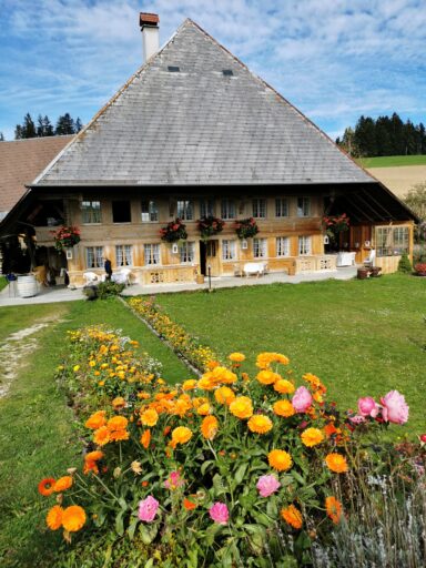Foto Meinrad