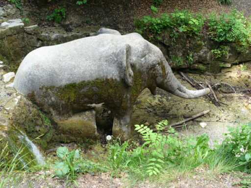 Elefant im Stöckentobelbach