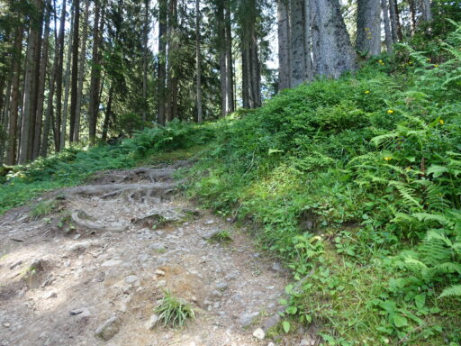 Wurzelweg