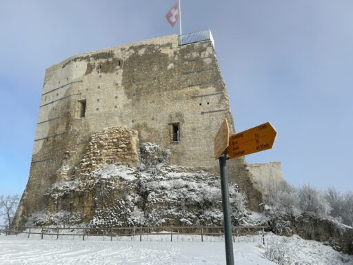 Die renovierte Farnsburg