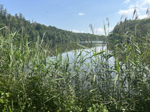 Viele Teiche