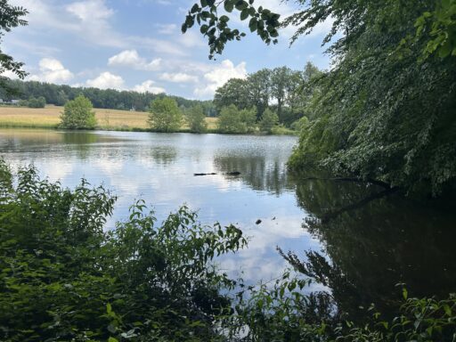 Unberührte Natur