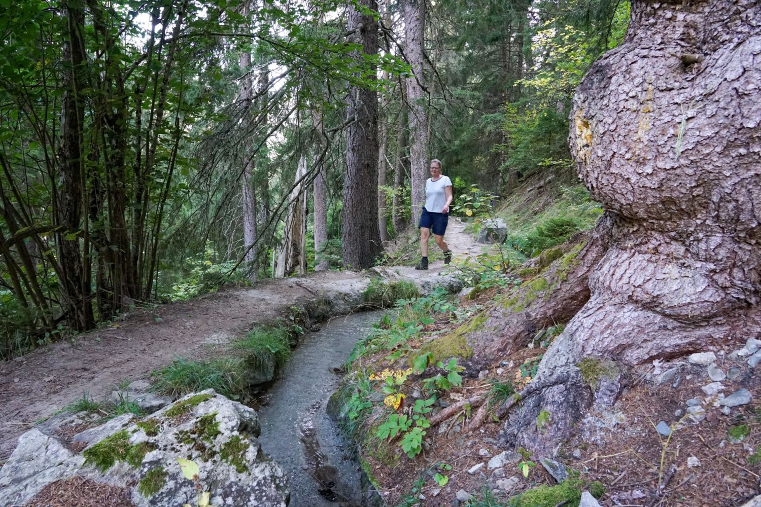Berner Wanderwege  Nr. 2174