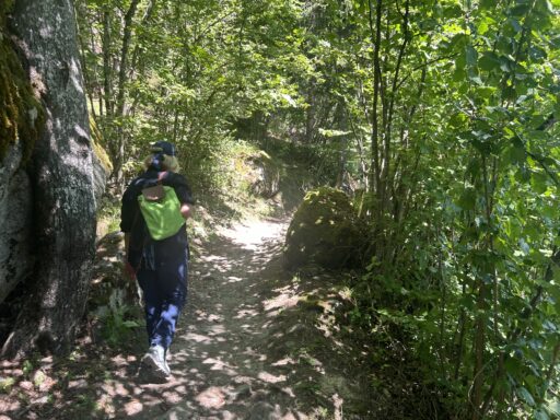 Schattiger Weg