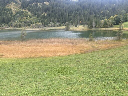 Der Lauenensee